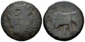 Kings of Numidia, Juba I, 60-46 Bronze circa 60-46, Æ 28mm., 12.33g. Head of Zeus-Ammon right, wearing horn. Rev. Elephant advancing r. SNG Copenhagen...