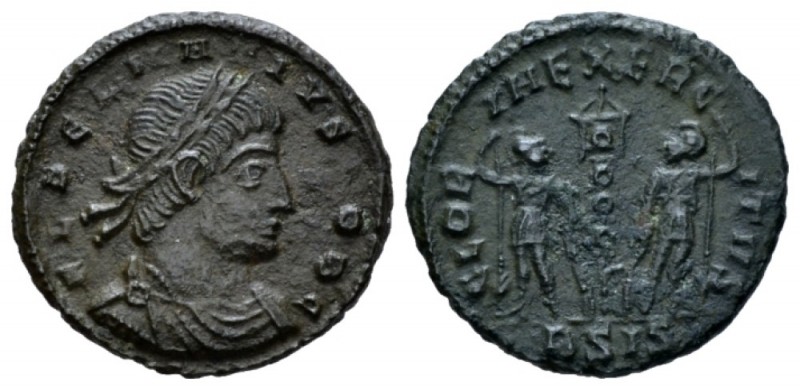 Delmatius caesar, 335-337 Follis circa 336-337, Æ 18mm., 1.54g. Laureate and cui...