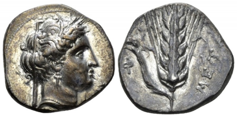 Lucania, Metapontum Nomos circa 340-330, AR 22mm., 7.86g. Head of Demeter r. Rev...