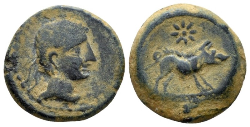 Hispania, Castulo Bronze II cent. BC, Æ 18mm., 4.65g. Diademed male head r. Rev....