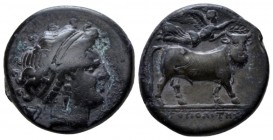 Campania, Neapolis Didrachm circa 300, AR 19mm., 7.12g. Head of nymph r.; in l. field, kantharos. Rev. Man-headed bull walking r., head facing; above,...