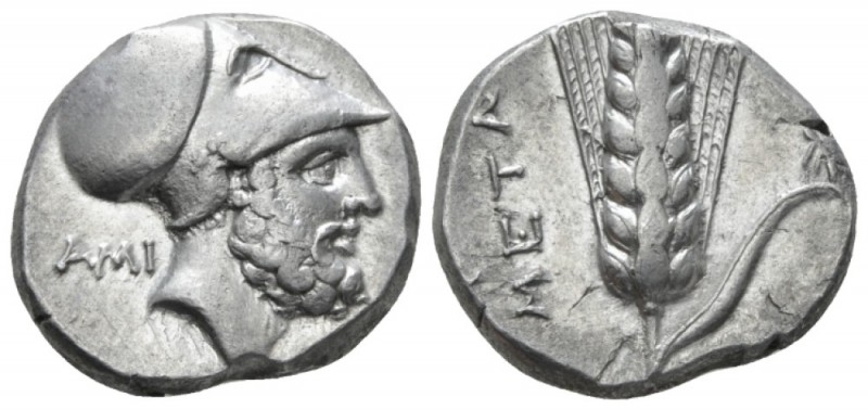 Lucania, Metapontum Nomos circa 340-330, AR 18mm., 7.99g. Head of Leucippus r., ...