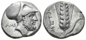 Lucania, Metapontum Nomos circa 340-330, AR 18mm., 7.99g. Head of Leucippus r., wearing Corinthian helmet; behind, AMI. Rev. Ear of barley with leaf t...