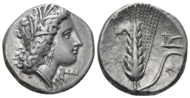 Lucania, Metapontum Nomos circa 330-290, AR 21mm., 7.88g. Head of Demeter r., we...