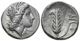 Lucania, Metapontum Nomos circa 330-290, AR 21mm., 7.88g. Head of Demeter r., wearing grain wreath and triple-pendant earring; below chin, ΔAI. Rev. B...