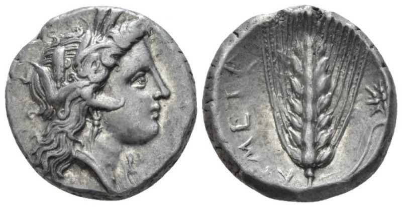 Lucania, Metapontum Nomos circa 330-290, AR 20mm., 7.77g. Head of Demeter r., we...