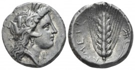 Lucania, Metapontum Nomos circa 330-290, AR 20mm., 7.77g. Head of Demeter r., wearing barley wreath. Rev. Ear of barley with leaf r., on which, star. ...