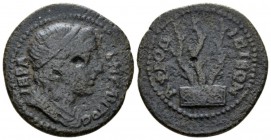 Caria, Aphrodisias Septimius Severus, 193-211 Bronze Time of Hadrian-S. Severus, Æ 25mm., 5.89g. Bare head of Demos r. Rev. Three branches set on alta...