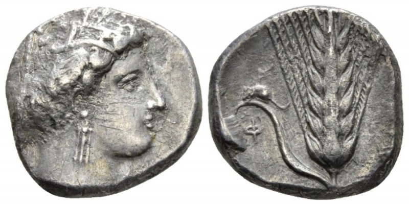 Lucania, Metapontum Nomos circa 340-330, AR 18mm., 7.47g. Head of Demeter r., we...