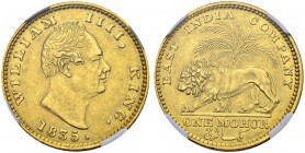 INDIEN
British East India Company. William IV. 1830-1837. 1 Mohur 1835 RS, Kalkutta. Schl. 880. Fr. 1593. Selten / Rare. NGC AU58. (~€ 6410/~US$ 7895...