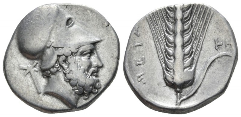 Lucania, Metapontum Nomos circa 340-330, AR 21mm., 7.70g. Helmeted head of Leuci...