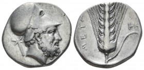 Lucania, Metapontum Nomos circa 340-330, AR 21mm., 7.70g. Helmeted head of Leucippus r.; in l. field, cross-torch. Rev. Barley ear with leaf to r.; |-...