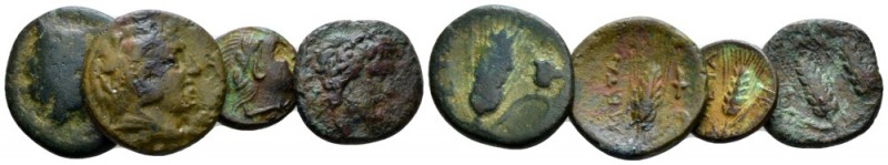 Lucania, Metapontum Lot of 4 Bronzes III cent., Æ 30mm., 9.33g. Lot of 4 Bronzes...