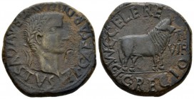 Hispania, Calagurris Tiberius, 14-37 Bronze circa 14-37, Æ 28mm., 14.71g. TI CAESAR DIVI AVG F AVGVSTVS Laureate head r. Rev. M C I C CELERE C RECTO B...