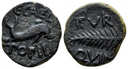 Hispania, Carthago Nova. Octavian as Augustus, 27 BC – 14 AD Semis second half I cent. BC, Æ 17.4mm., 4.996g. Dolphin r. Rev. II VIR QVIN Palm-branch ...