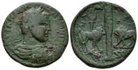 Phoenicia, Aradus Elagabalus, 218-222 Bronze circa 218-222, Æ 28mm., 15.69g. Laureate, draped, and cuirassed bust r. Rev. Cypress between bull and lio...
