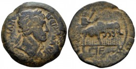 Egypt, Alexandria Trajan, 98-117 Drachm circa 111-112 (year 15), Æ 33.2mm., 13.76g. Laureate bust r., wearing aegis on r. shoulder. Rev. The Emperor s...