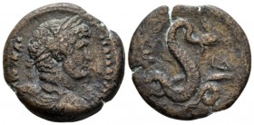 Egypt, Alexandria Hadrian, 117-138 Diobol circa 129-130 (year 14), Æ 23.9mm., 8.69g. Laureate, draped and cuirassed bust r. Rev. Agathodaemon erect, r...