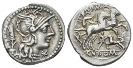 Cn. Domitius Calvinus. Denarius circa 128, AR 18.5mm., 3.92g. Helmeted head of Roma r.; below chin, * and behind, stalk of corn. Rev. Victory in pranc...