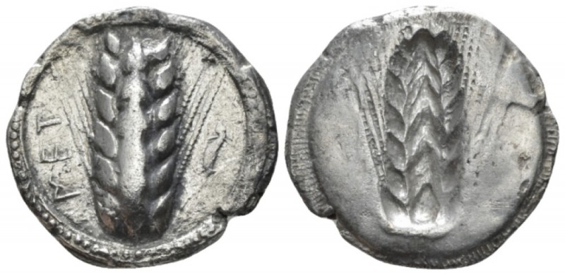 Lucania, Metapontum Nomos circa 510-470, AR 24mm., 7.73g. Ear of barley; in fiel...