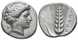 Lucania, Metapontum Nomos circa 340-330, AR 22mm., 7.67g. Head of Demeter r., her hair lightly bound up and wearing earring and necklace. Rev. Ear of ...