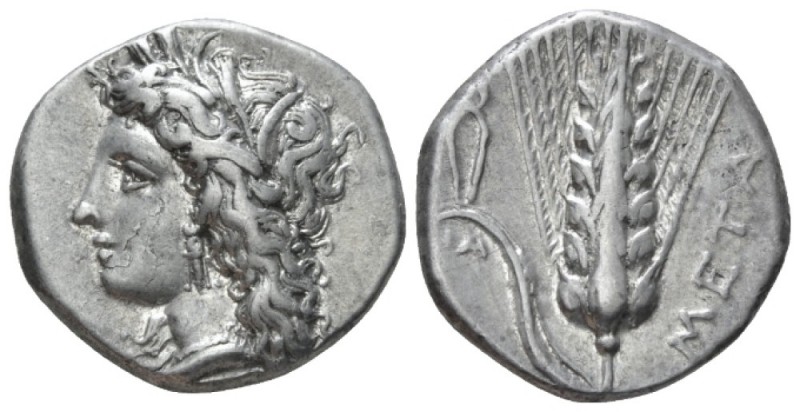 Lucania, Metapontum Nomos circa 330-290 BC, AR 20mm., 7.84g. Barley-wreathed hea...