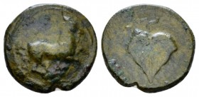 Sicily, Unidentified mercenaries Bronze circa 344-336, Æ 13mm., 1.49g. Horse running r. Rev. Vine leaf. Calciati 1.

Rare, green patina, Very Fine....