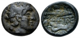 Locri Ozolae, Amphissa Bronze first half of the 2nd century BC, Æ 16.5mm., 4.30g. Head of Apollo r., laureate. Rev. Spearhead and jawbone of Calydonia...