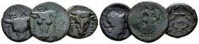 Phocis, Elateia Lot of 3 Bronzes III-II cent. BC, Æ 16mm., 13.16g. Facing bull's head and EΛ above. Rev. Apollo head r., ΦΩKEΩN l. up circular. BCD Lo...