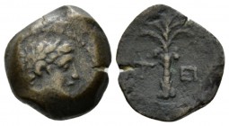 Argolis, Halieis Chalkous circa 340-330, Æ 12.8mm., 2.48g. Laureate head of Apollo r. Rev. Palm tree; in field, T-EI. Svoronos, Ἁλιεῖς - cf 20. BCD Pe...