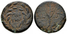 Judaea, Tiberias Unit circa 29-30, Æ 22.80mm., 11.87g. Mint in two lines within wreath. Rev. Palm frond; in field, L-ΛΓ. Meshorer 79. Hendin 1203.

...