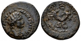 Judaea, Caesarea Maritima Domitian, 81-96 Bronze circa 85-86, Æ 21.1mm., 4.06g. Laureate bust of r., wearing aegis. Rev. Crossed cornucopias over cadu...