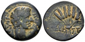 Egypt, Alexandria Octavian as Augustus, 27 BC – 14 AD Diobol circa 1-5, Æ 25.1mm., 8.74g. Laureate head r. Rev. Bundle of six grain-ears. Geissen 10. ...