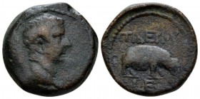 Egypt, Alexandria. Dattari. Tiberius, 14-37 Obol circa 18-19 (year 5), Æ 21.3mm., 8.57g. Laureate head r. Rev. TIBEPIOY Hippopotamus standing r.; in e...