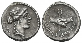 D. Iunius Brutus Albinus. Denarius circa 48, AR 18.5mm., 3.65g. PIETAS Head of Pietas r. Rev. Two hands clasped around winged caduceus; below, ALBINVS...