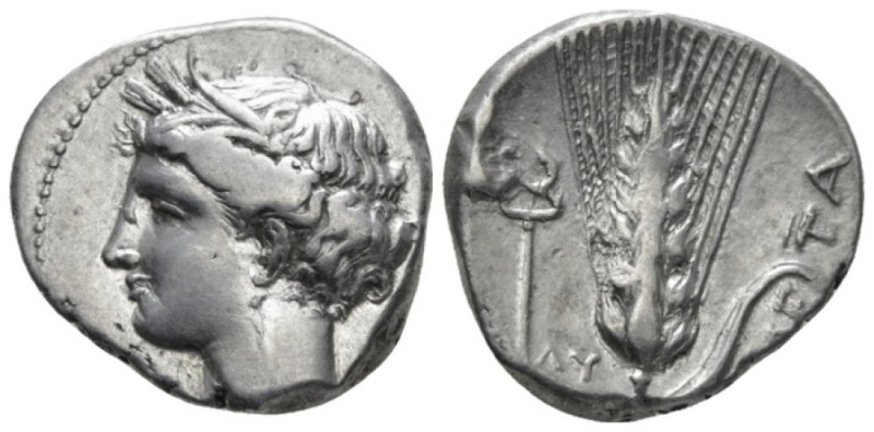 Lucania, Metapontum Nomos circa 340-300, AR 22mm., 7.87g. Head of Demeter l., ha...