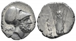 Lucania, Metapontum Nomos circa 340-330, AR 21mm., 7.82g. Head of Leucippus r., wearing Corinthian helmet; behind, AMI. Rev. Ear of barley with leaf t...