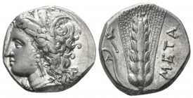 Lucania, Metapontum Nomos circa 330-290, AR 19mm., 7.86g. Wreathed head of Demeter l. Rev. Barley ear of seven grains with leaf to l.; hay fork above ...