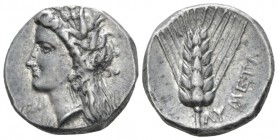 Lucania, Metapontum Nomos circa 330-290, AR 19.8mm., 7.84g. Head of Demeter l., wearing earring and barley wreath; below chin, ΔEX. Rev. META Ear of b...