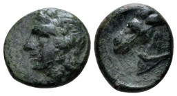 Sicily, Tyndaris Bronze circa 280-254, Æ 12mm., 2.01g. Laureate head of Apollo l. Rev. Head of horse l. Calciati 3.

Rare, attractive green patina, ...
