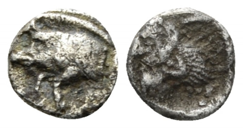 Mysia, Cyzicus Obol circa 450-400, AR 8.5mm., 0.38g. Forepart of boar l.; to r.,...