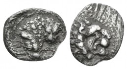 Cyprus, Wroikos, circa 350. Obol circa 350, AR 9mm., 0.52g. Head of lion r. Rev. Forepart of lion r., head facing. Traité II 1276 and pl. CXXXIII, 17....