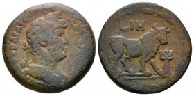 Egypt, Alexandria Hadrian, 117-138 Diobol circa 133-134 (year 18), Æ 24mm., 8.94g. Laureate, draped and cuirassed bust r. Rev. Apis bull standing, r.;...