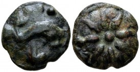 Apulia, Luceria Teruncius circa 217-212, Æ 28mm., 25.10g. Star of eight rays. Rev. Dolphin swimming r.; above, four pellets; below, L. Thurlow -Vecchi...