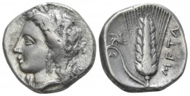 Lucania, Metapontum Nomos circa 330-290, AR 19mm., 7.59g. Barley-wreathed head of Demeter l. Rev. Barley-ear; in l. field, griffin. Noe-Johnston C6.13...