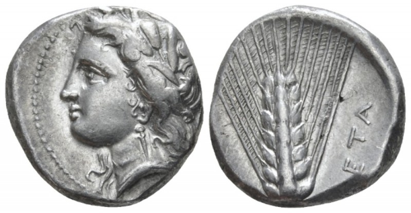 Lucania, Metapontum Nomos circa 330-290, AR 18mm., 7.85g. Barley-wreathed head o...