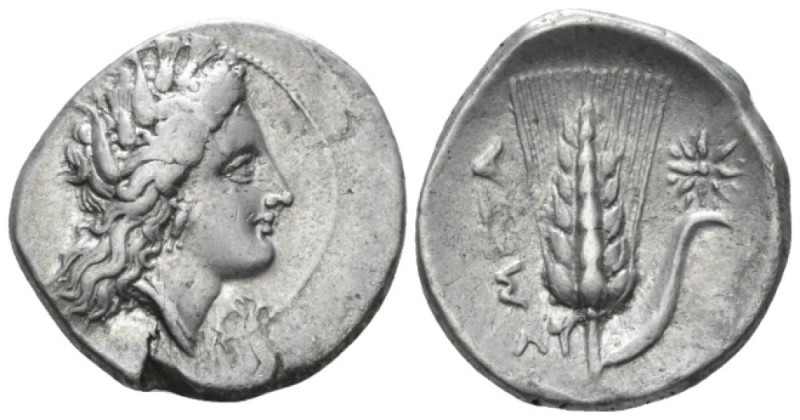 Lucania, Metapontum Nomos circa 330-290, AR 24mm., 7.67g. Barley-wreathed head o...