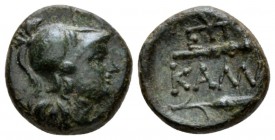 Moesia, Callatis Bronze III-II cent., Æ 14mm., 2.55g. Helmeted head of Athena r. Rev. Club and barley-ear; above, monogram. SNG BM Black Sea 206-208 v...