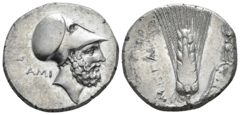 Lucania, Metapontum Nomos circa 340-330, AR 23mm., 7.45g. Head of Leucippus r., ...