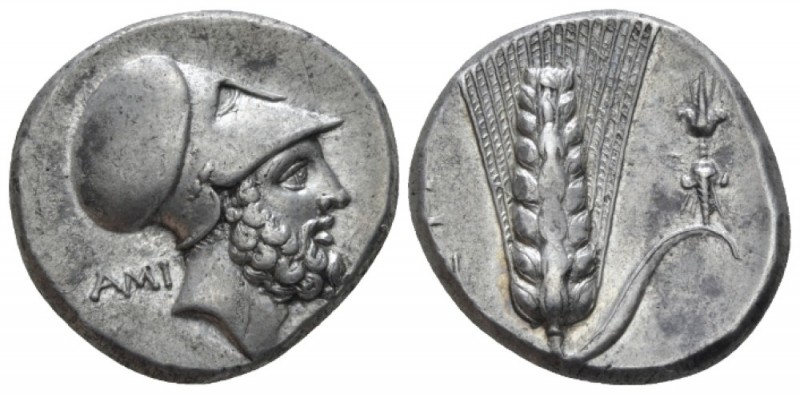 Lucania, Metapontum Nomos circa 340-330, AR 21mm., 7.85g. Head of Leucippus r., ...